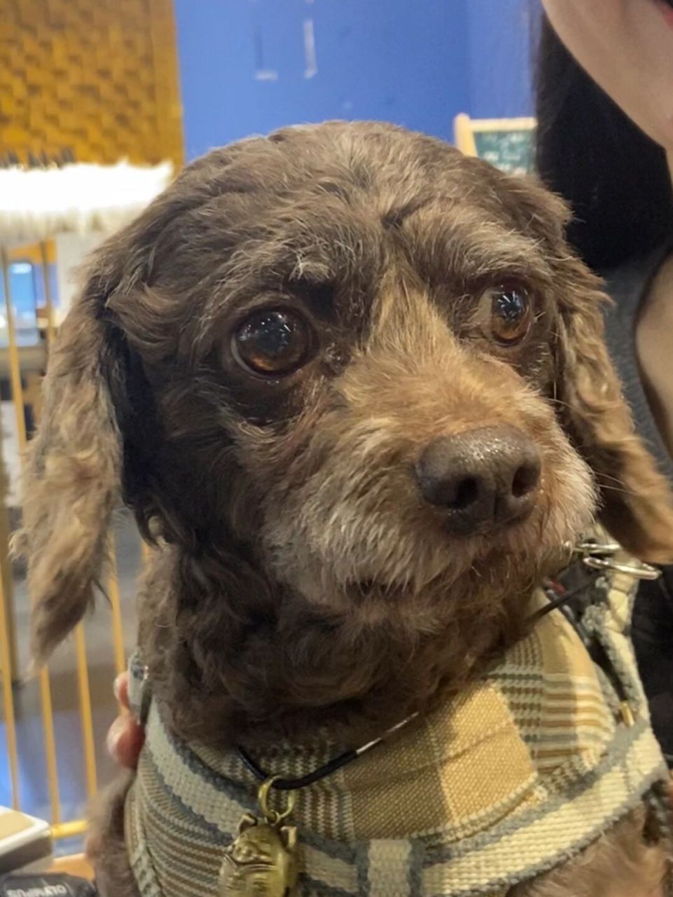 99中央大道二楼未来梦工厂 92营业时间:9:00-23:30 92业务范围