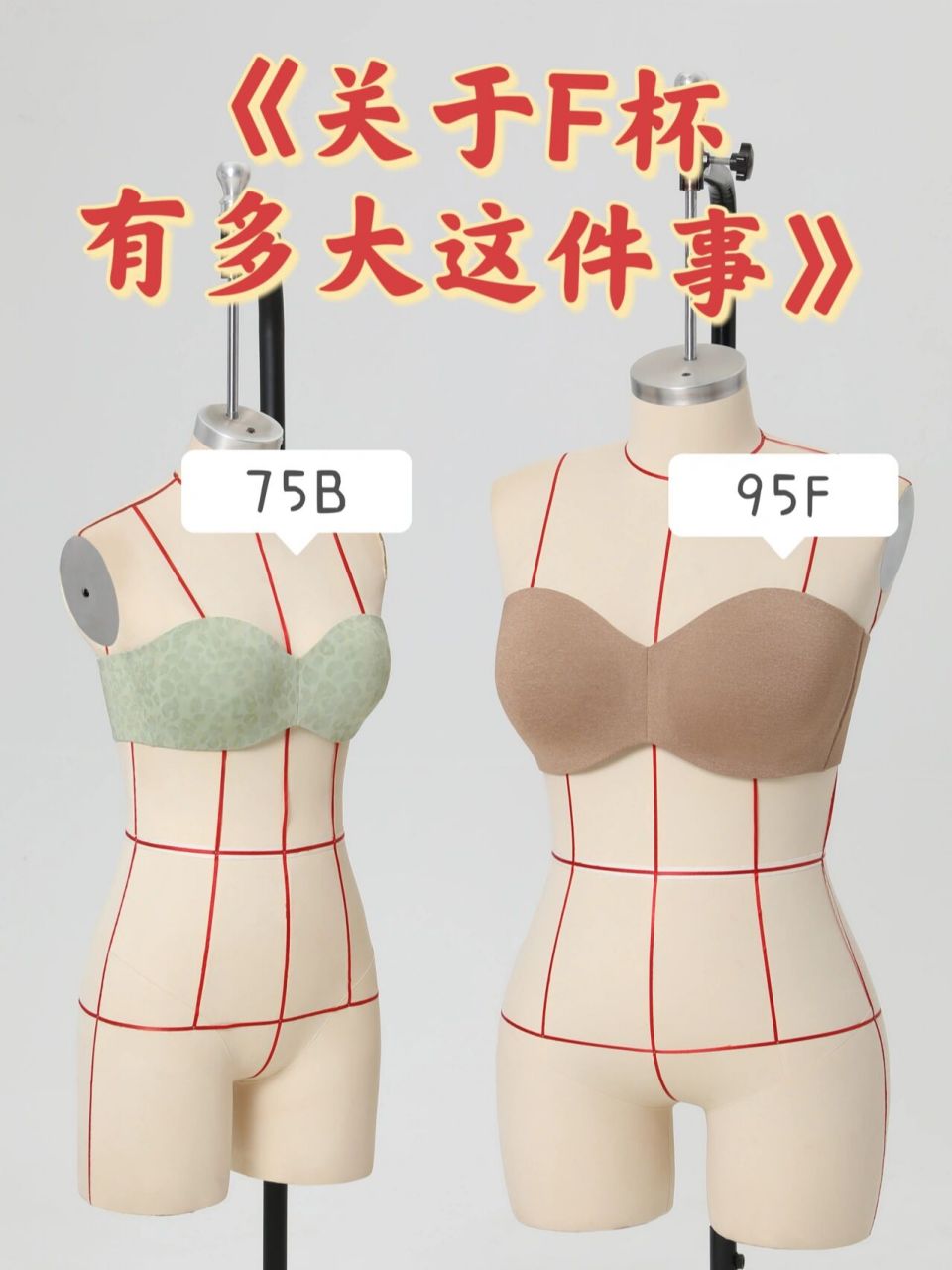 现实生活的f杯到底有多大?