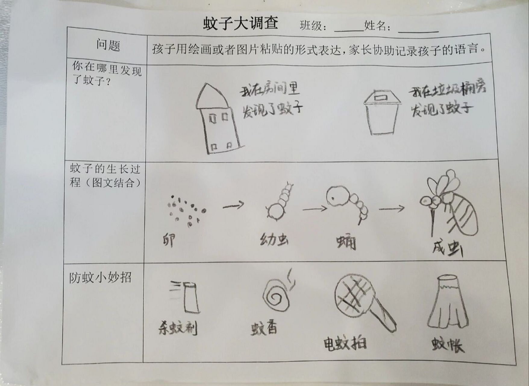 声音调查表幼儿园图片