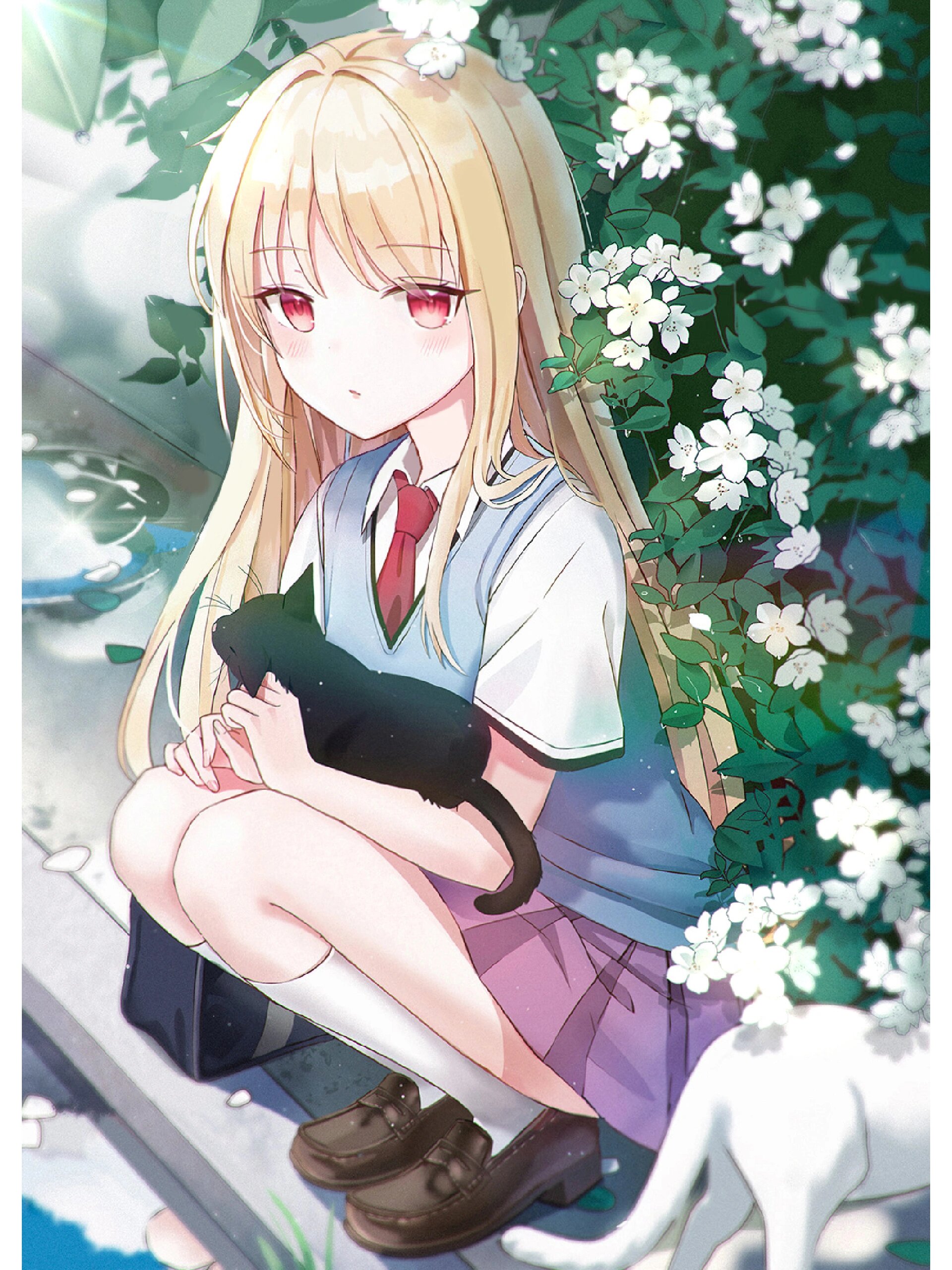 「椎名真白」壁纸 番名:樱花庄的宠物女孩