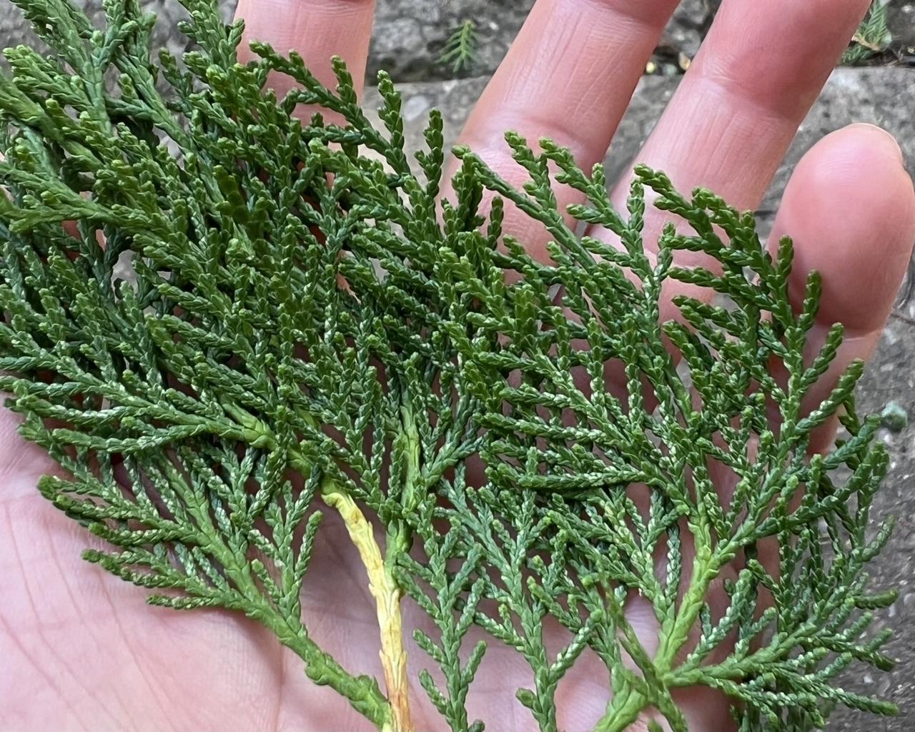 人生就是不断选择的过程,学会选择和坚持,会少些遗憾