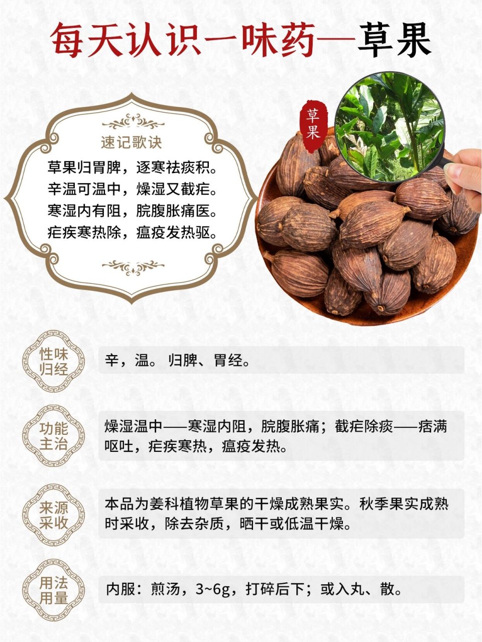 草果和草果仁图片