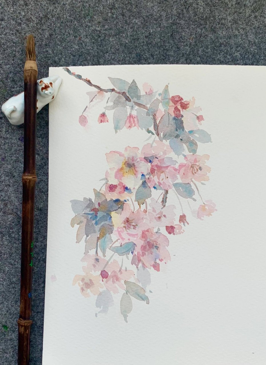 水彩花卉 速涂海棠花(附过程)