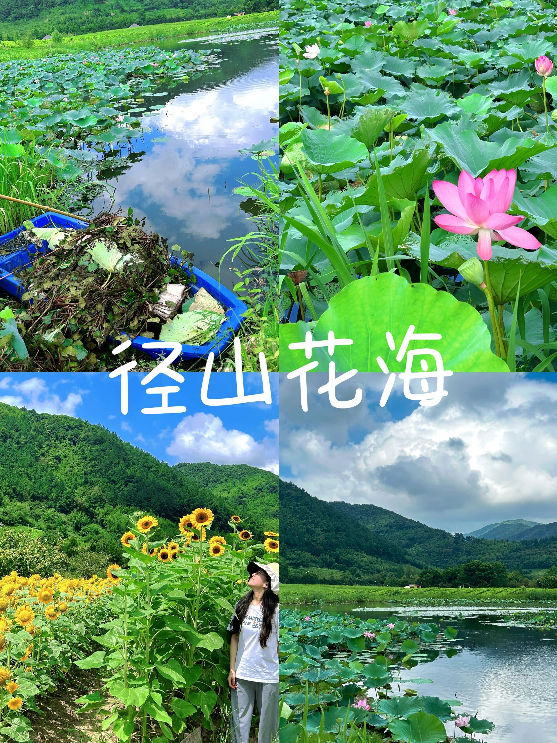 径山花海|杭州淡季小众拍照旅游景点 地点9015:余杭区径山镇 门票