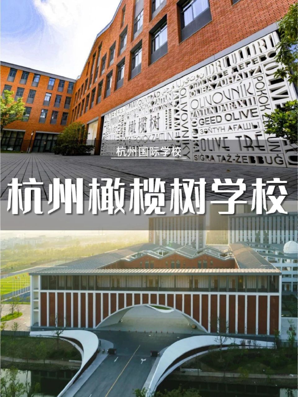 杭州橄榄树学校(12年一贯制) 杭州橄榄树学校于2017年开学,是一所小学