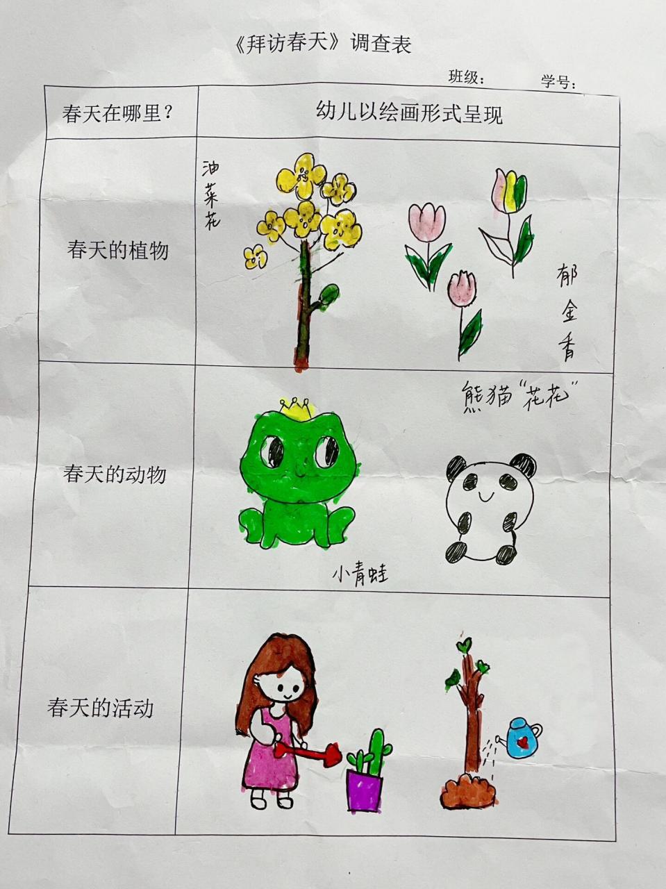 幼儿园作业之拜访春天调查表 画渣的底稿关键词必须是"简笔画"!
