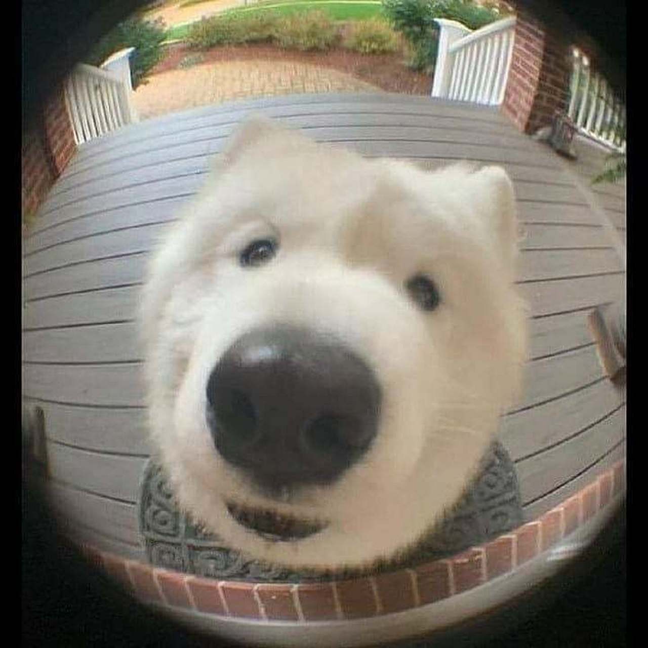 妈妈,开门,我是离谱