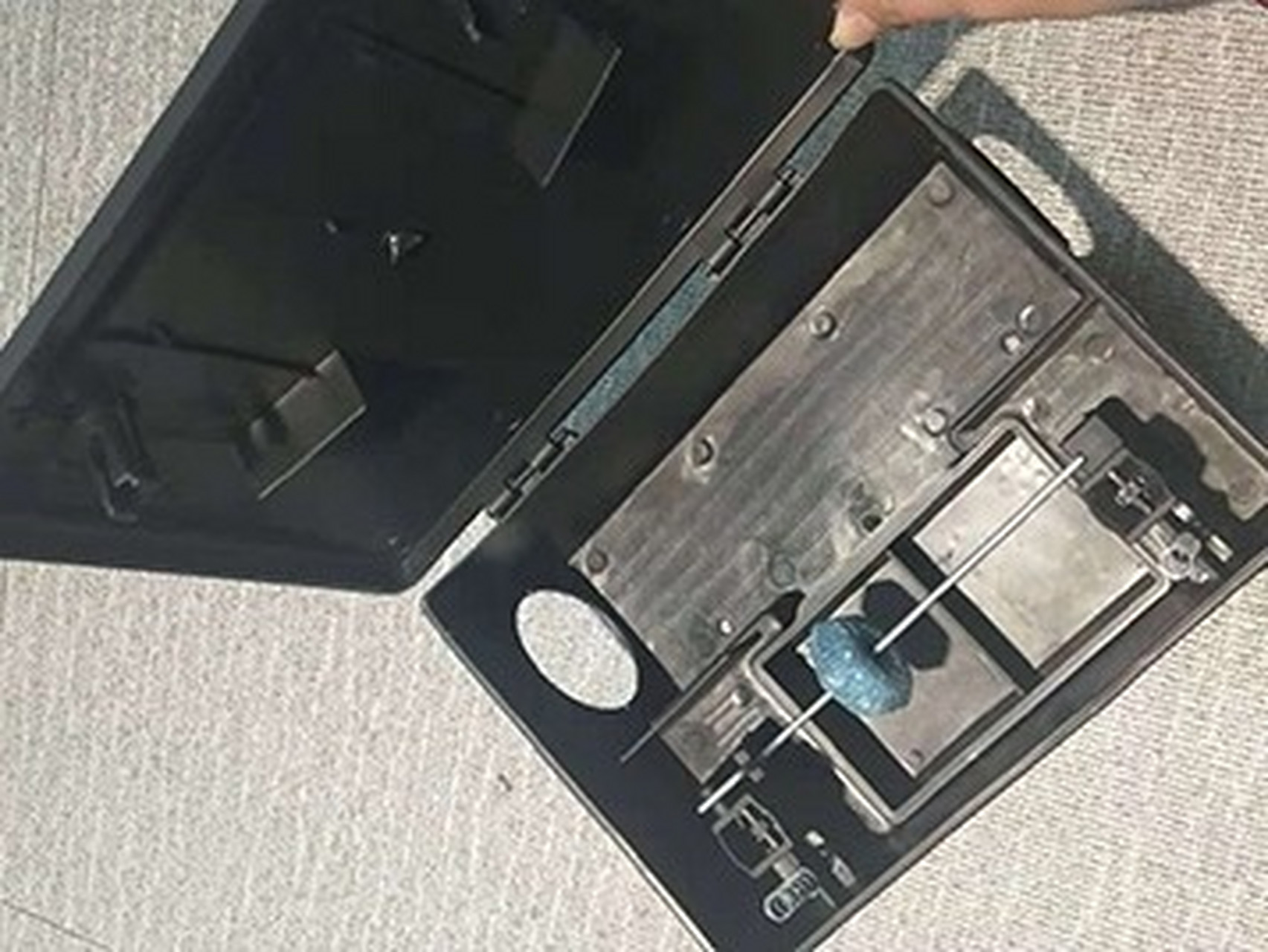 家里放一物绝对没老鼠 城镇常见的鼠类为小家鼠,褐家鼠,黄胸鼠,老鼠