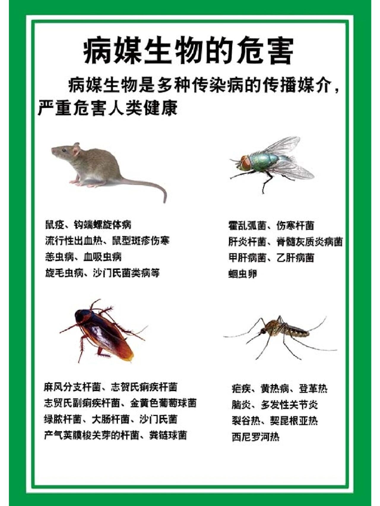 "四害"指老鼠,蚊子,苍蝇,蟑螂. 	 "四害"主要能传播哪些疾病?
