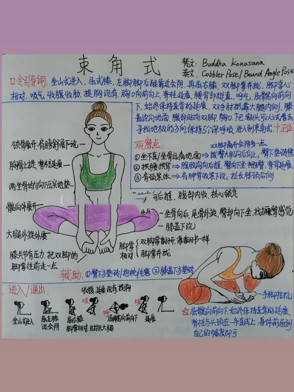 瑜伽笔记干货91体式详解60&蝴蝶式 束角式中喜欢跟自己的膝盖过不去