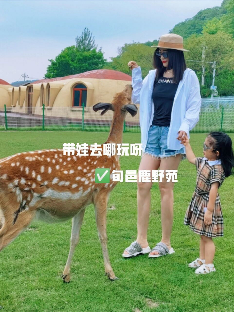 西安溜娃|鹿野苑|藏在山谷里的森林度假村 地址:咸阳旬邑网红地鹿野苑