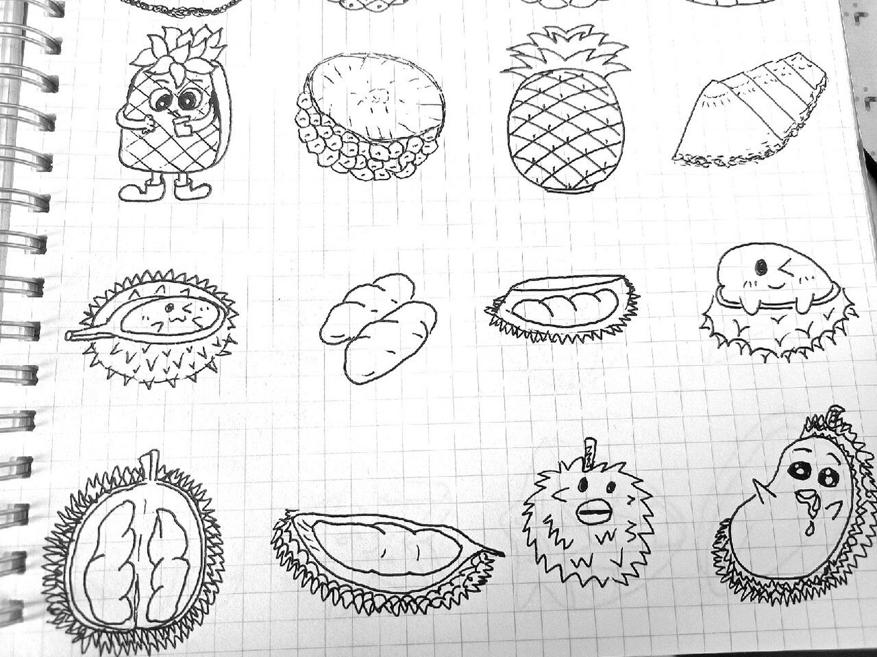 画个简笔画792/1000—菠萝95榴莲    水果菠萝95榴莲