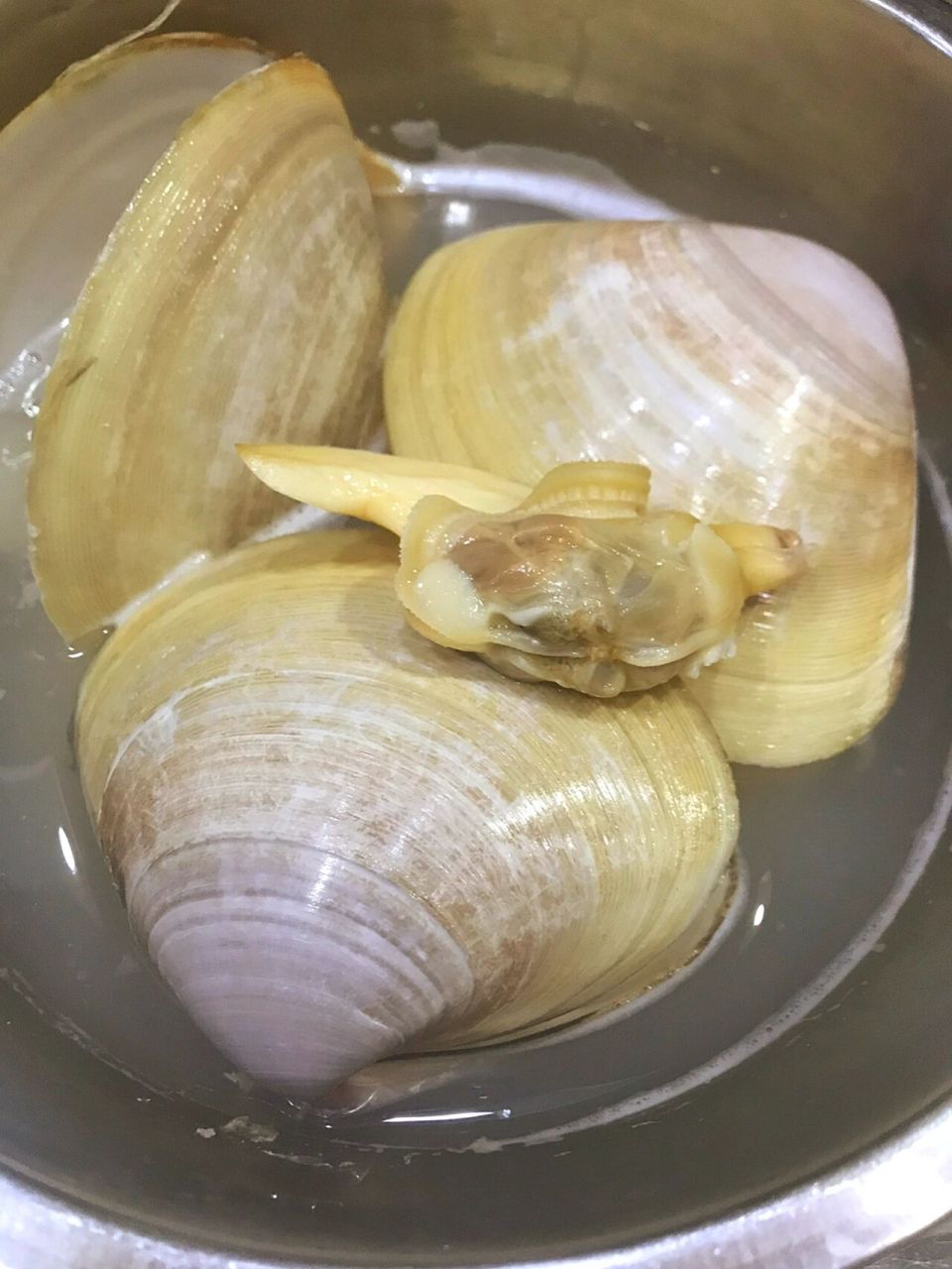 特别是漳港海蚌,是人民大会堂的国宴美食!