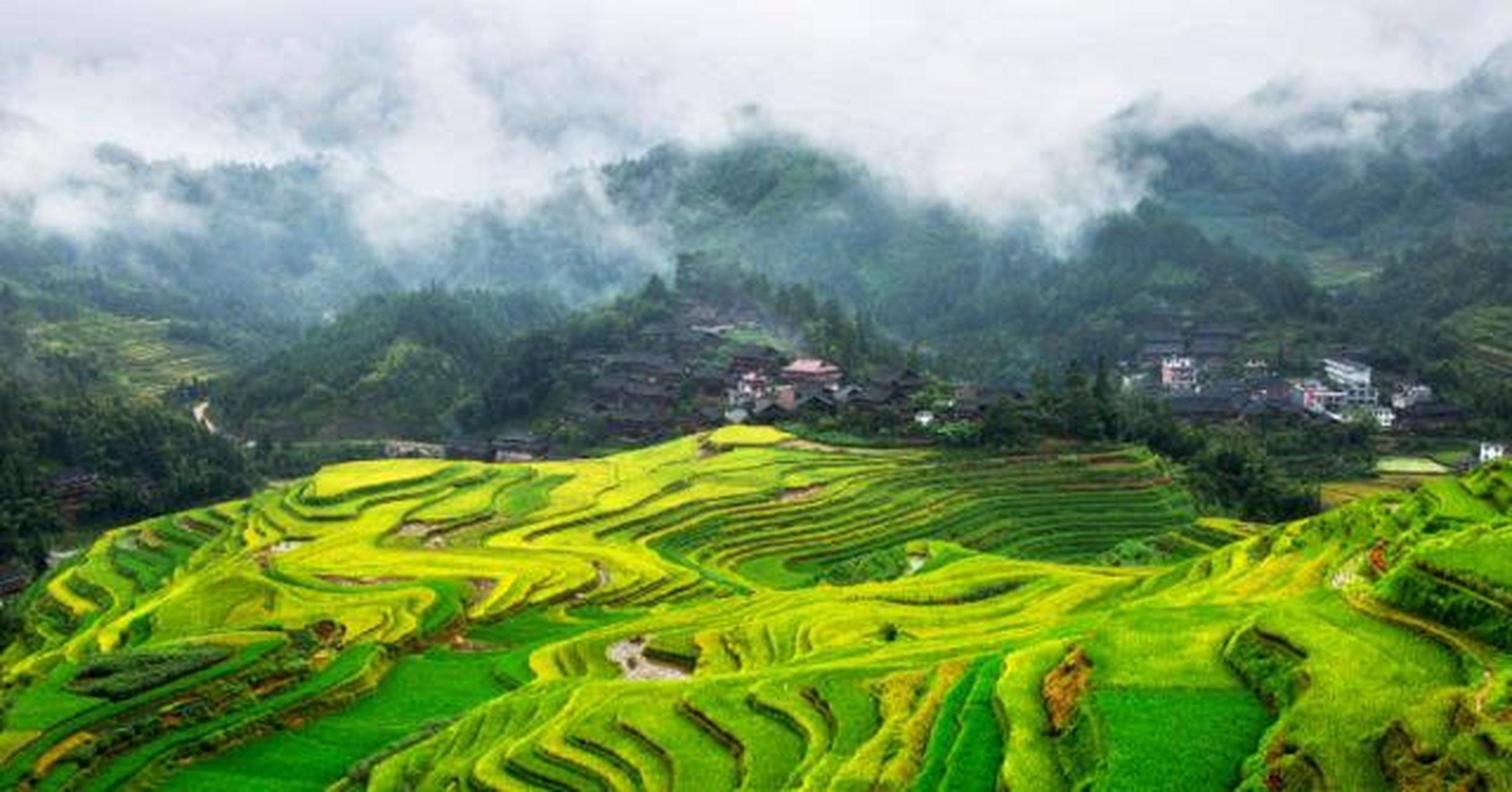 融水县语言的分布 融水苗族自治县地处广西东北部,柳州市北部.