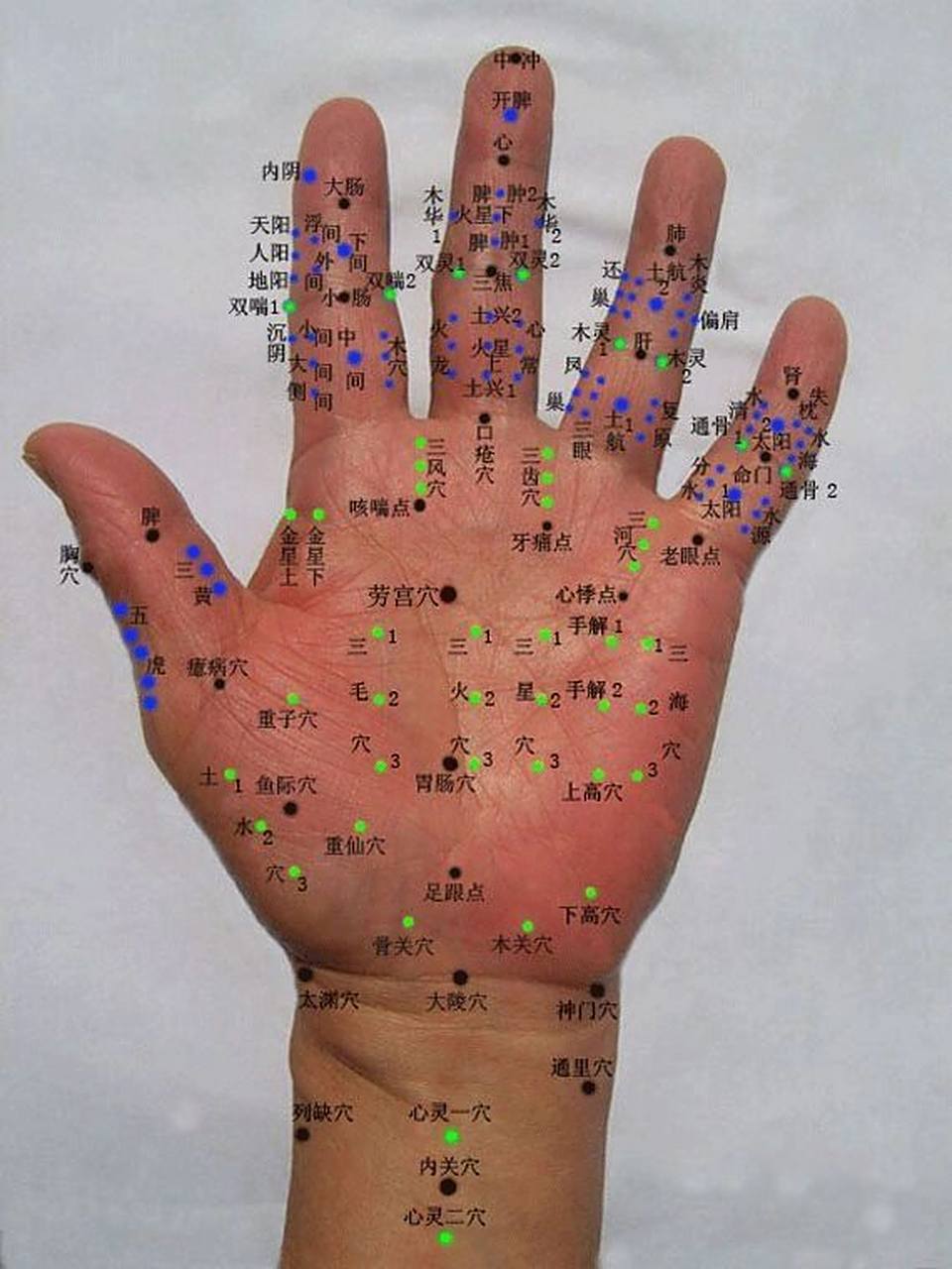 中医人体穴位分布及作用:《全息手穴图》 中医认为手部经络穴位丰富