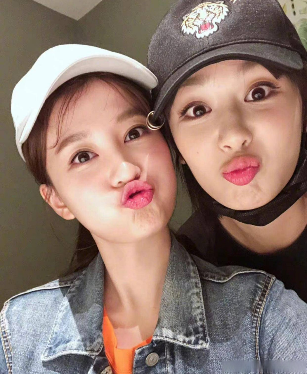 杨紫乔欣重聚综艺# 杨紫乔欣重聚综艺,好姐妹一起参加综艺,一定很