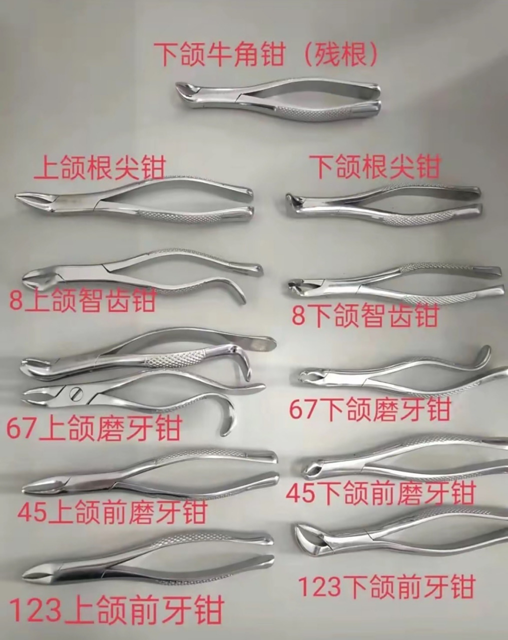 口腔医生器械拔牙钳器械认知(2)