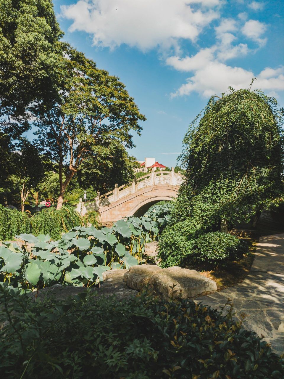 花溪公园97 78花溪公园 古园明湖阔,亭畔荷花落; 东侧碧水环,幽谷