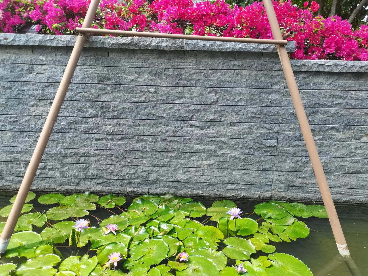 没有人能够一生都不犯错,也没有人