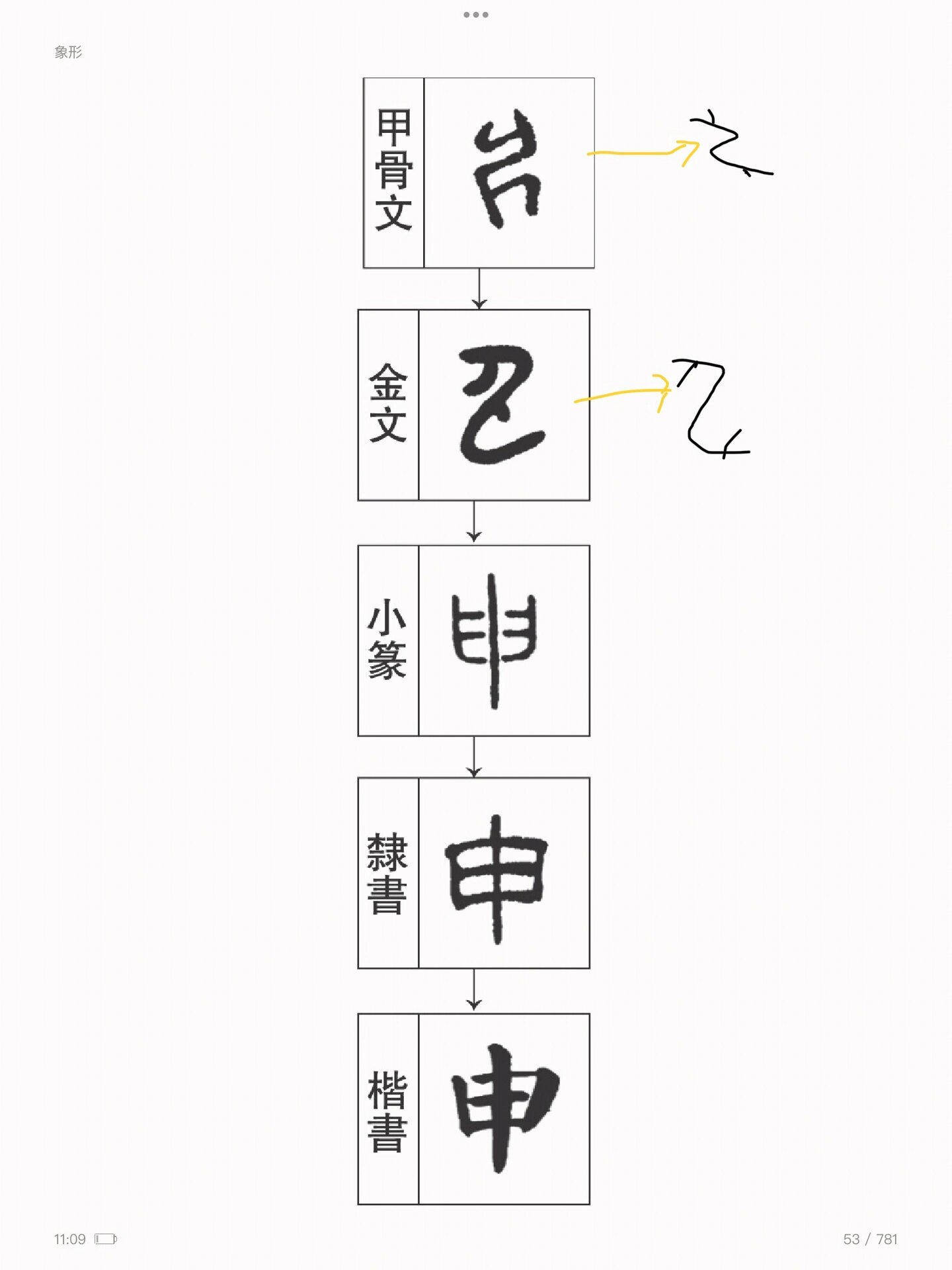 申字的演变过程图片图片