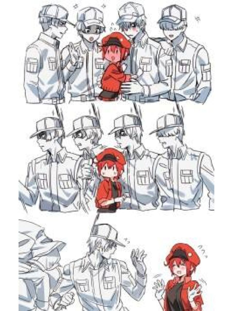 《工作细胞》白细胞与红细胞 小时候就遇见了,好有缘分哦