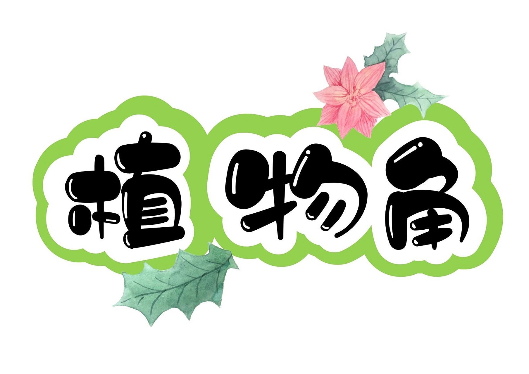 艺术字分享:植物角   02020202020202020202 	 *