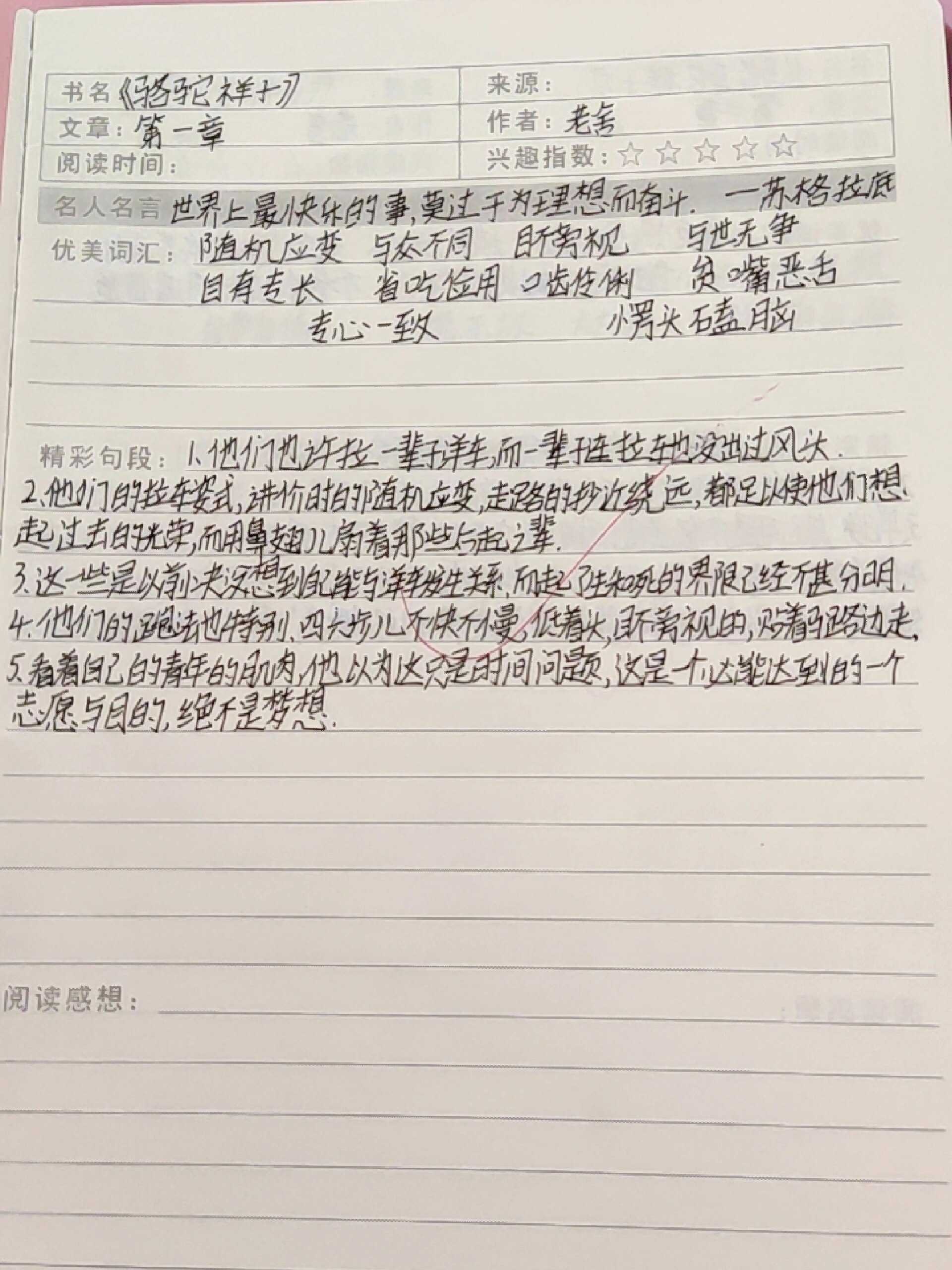 一到四章《骆驼祥子》读书笔记.