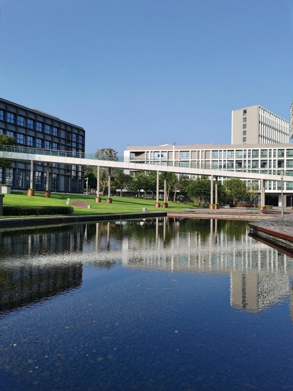 深圳大学,丽湖校区,畅享安静校园 国庆假期没出外,回深大畅享安静时光