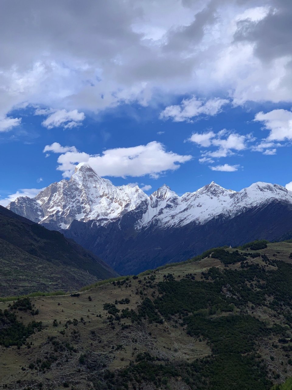 巴朗山垭口海拔4480