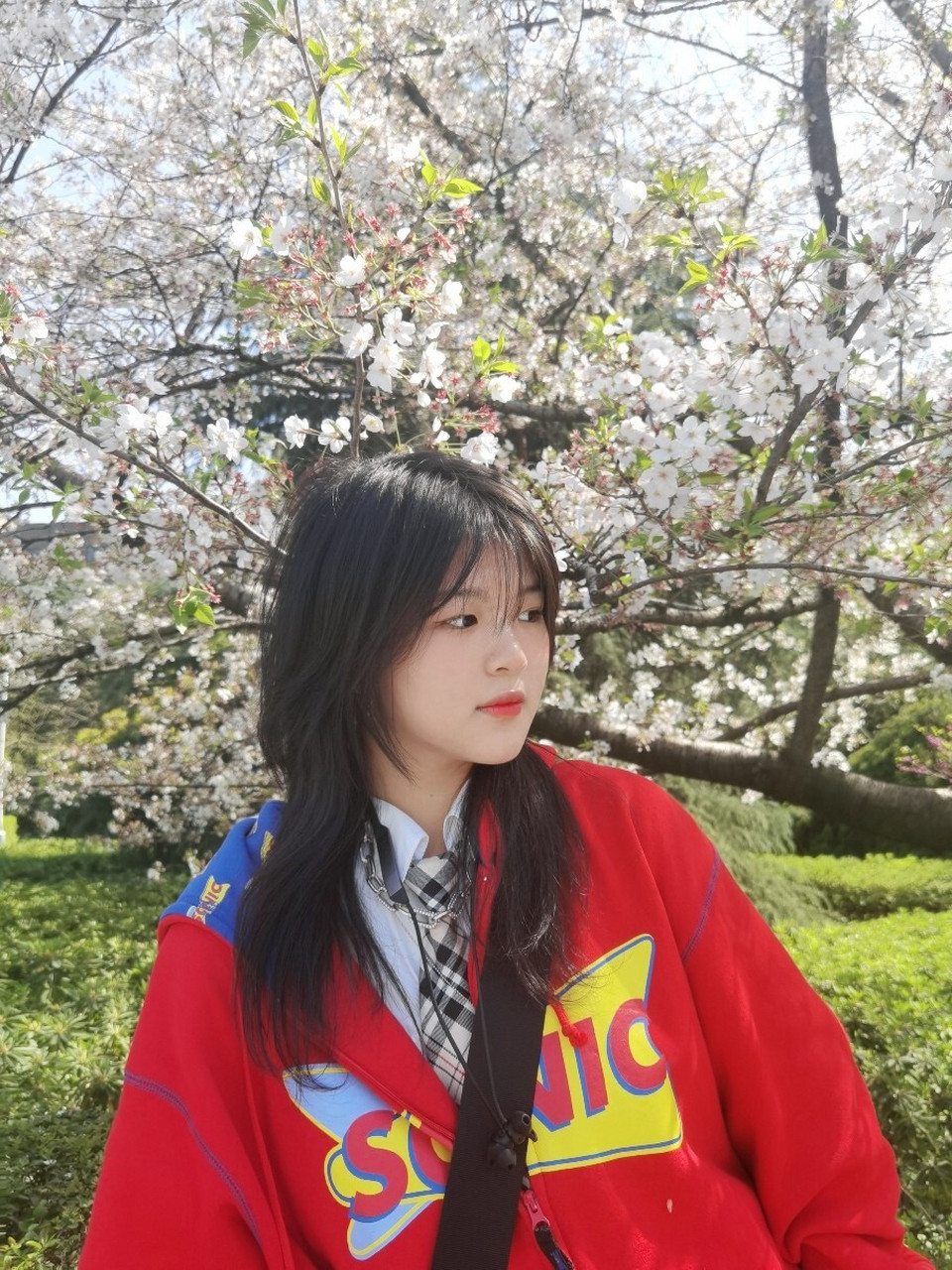 水母头 长版鲻鱼头 圆脸 女生发型分享 今天看了小红书的热搜才知道