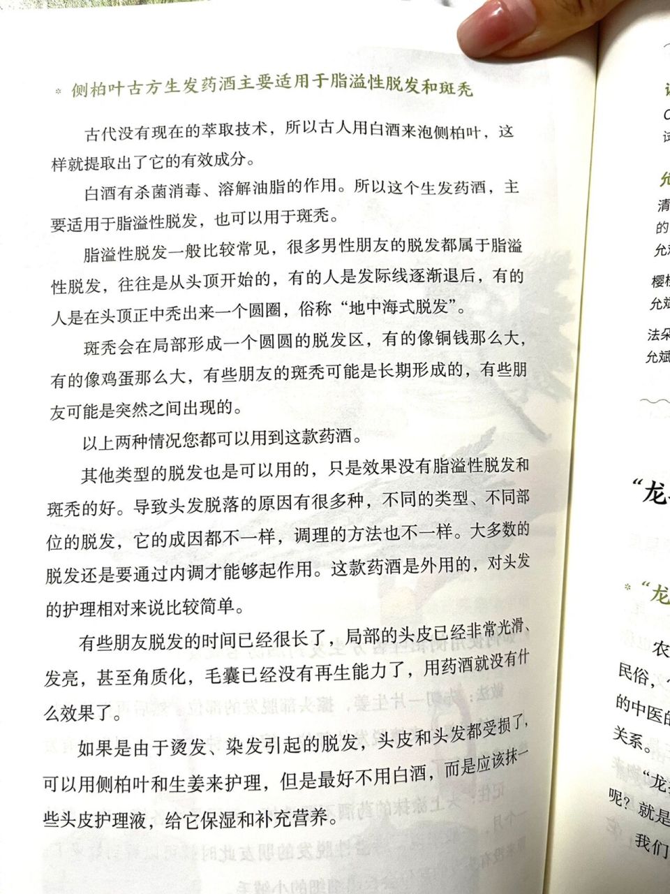 生发侧柏叶偏方图片