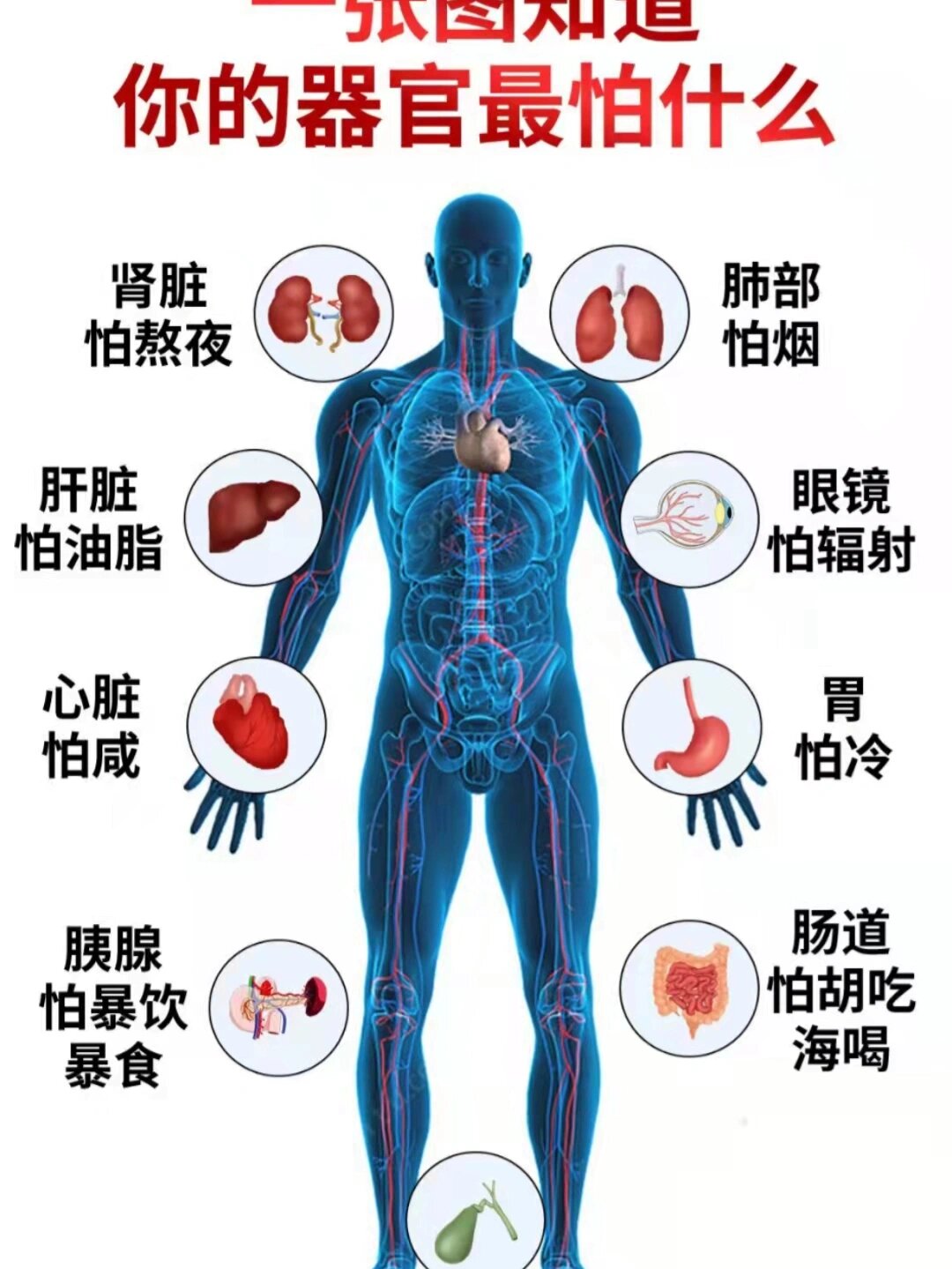 人类身上最没用的器官