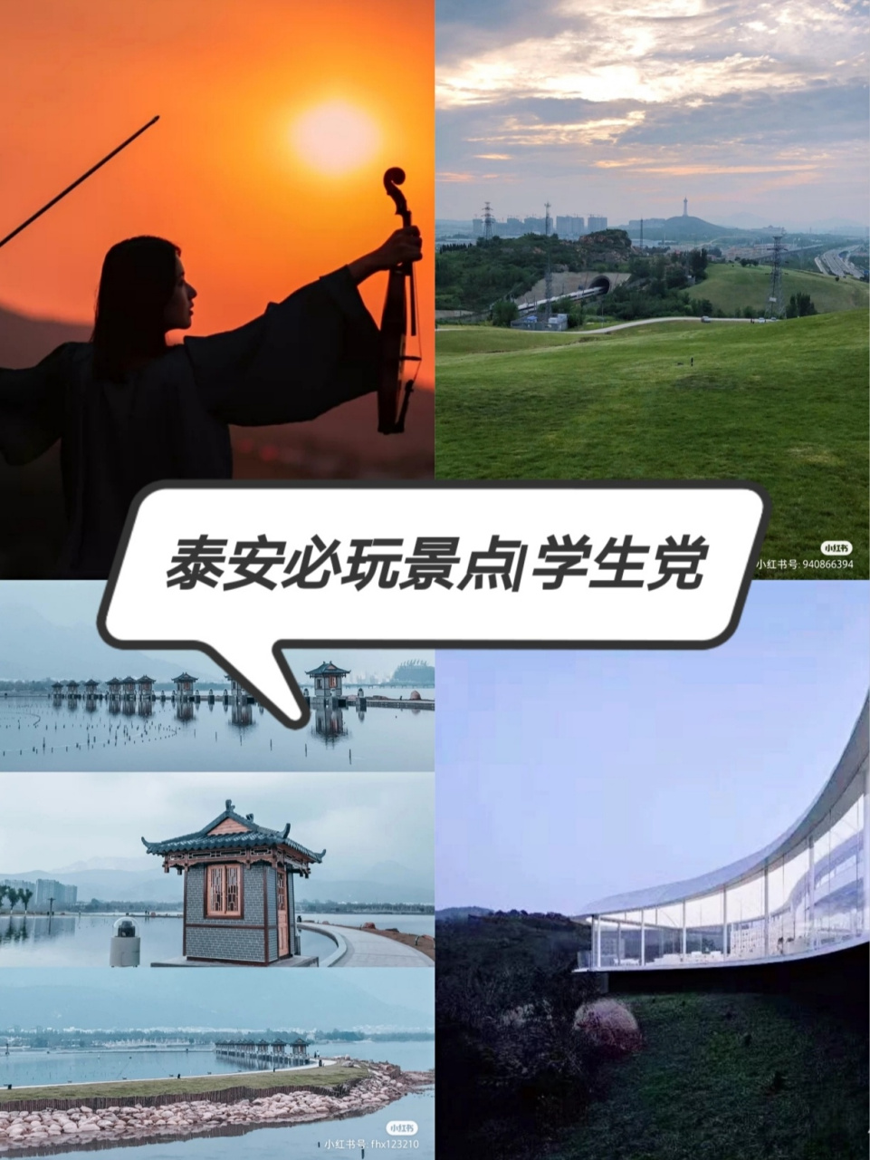 本人泰安学生,哈哈哈哈大概比较有话语权,大家酬情选择吧,大众点评啥