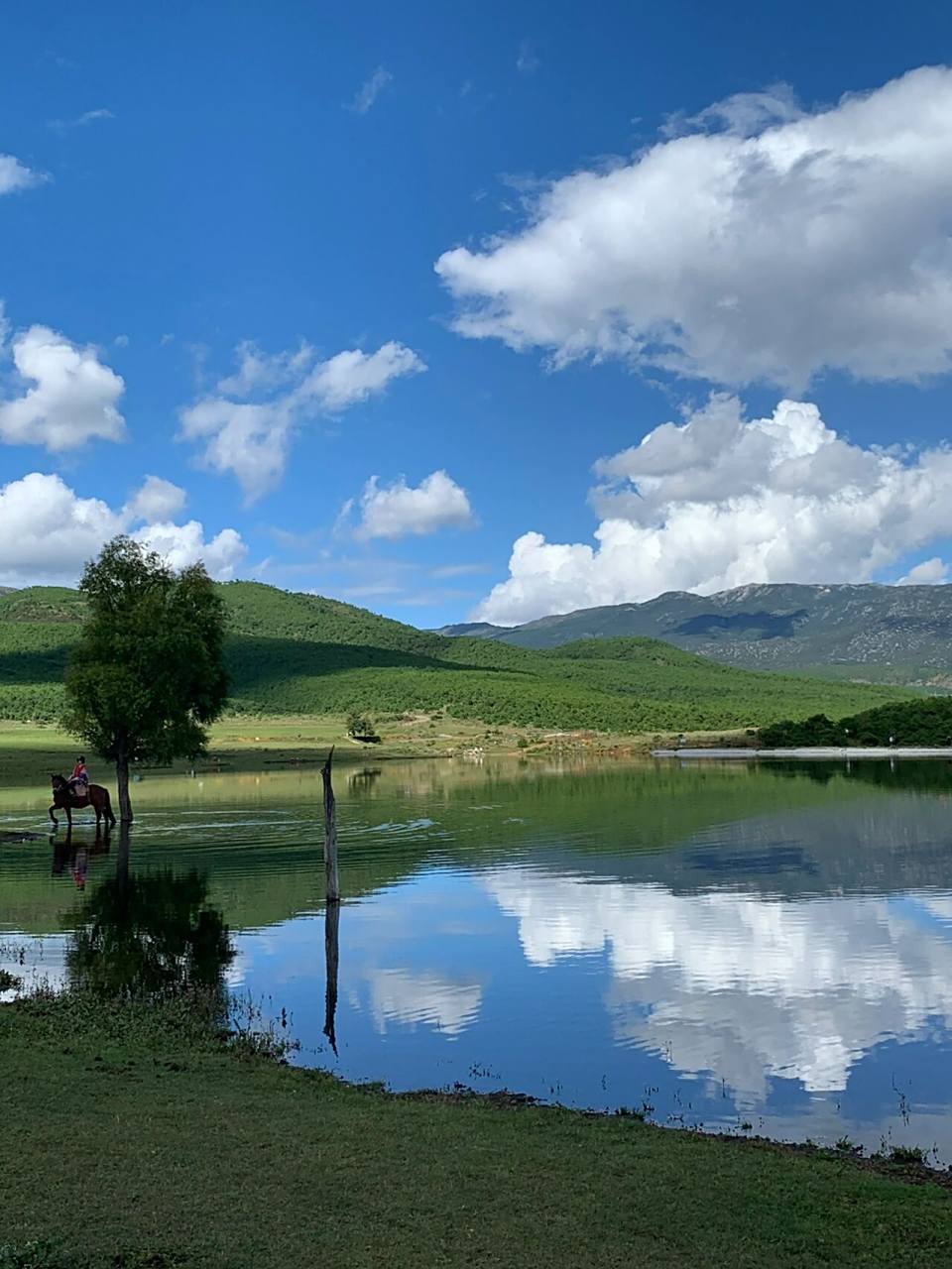 丽江玉湖村⛰在雪山脚下 感受自由的风 🧊龙女湖和辽阔的草原 藏