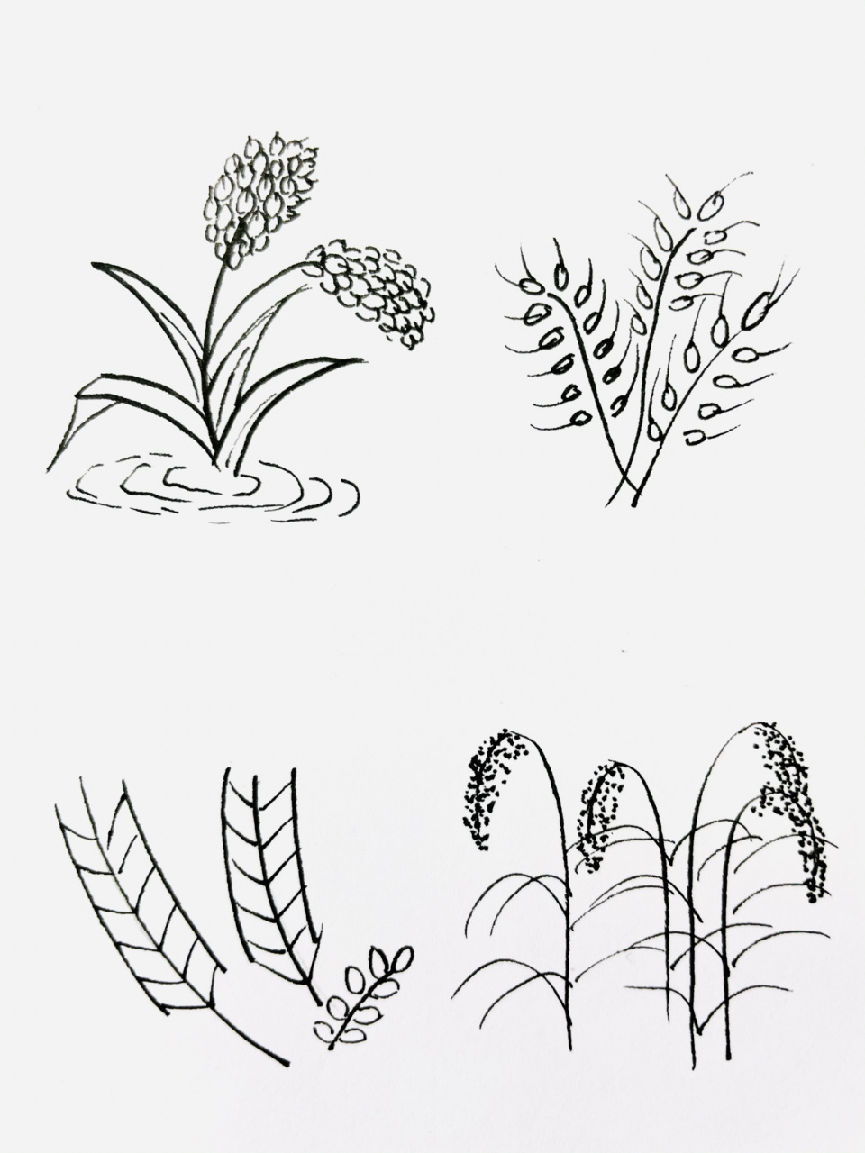 简笔画教程|手帐