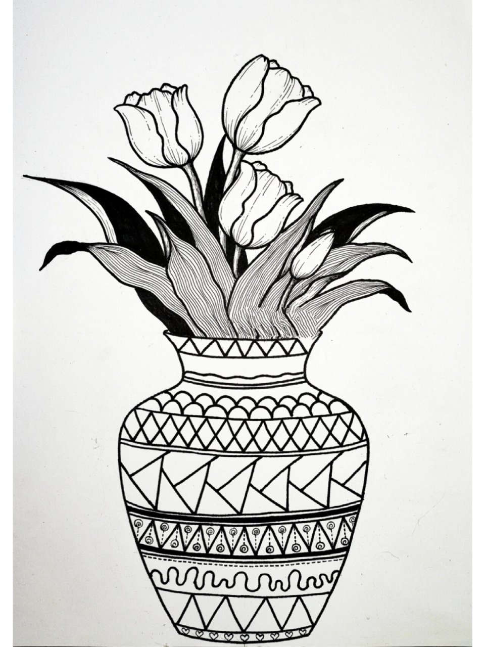 雅趣|分享66幅线描画—郁金香93①⑧ 93333734 3930