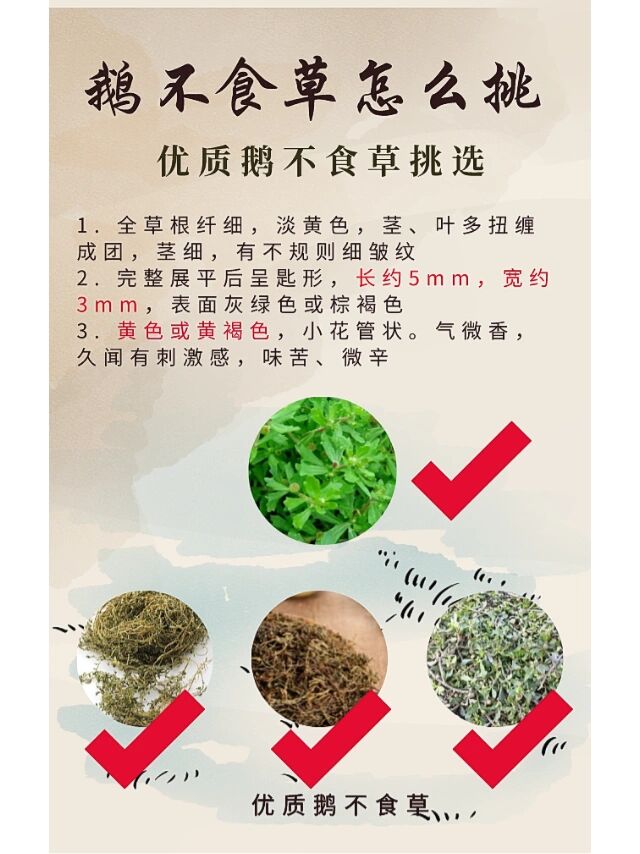 食草特性图片