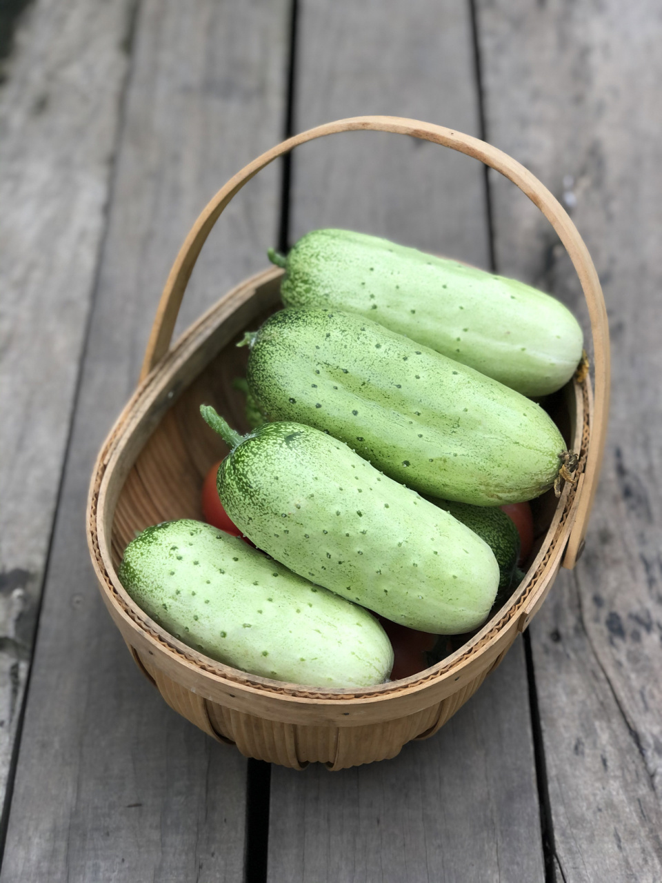 旱黄瓜图片🥒 黄瓜的吃法太多 但我最爱的是黄瓜拌粉丝 晚餐不吃米