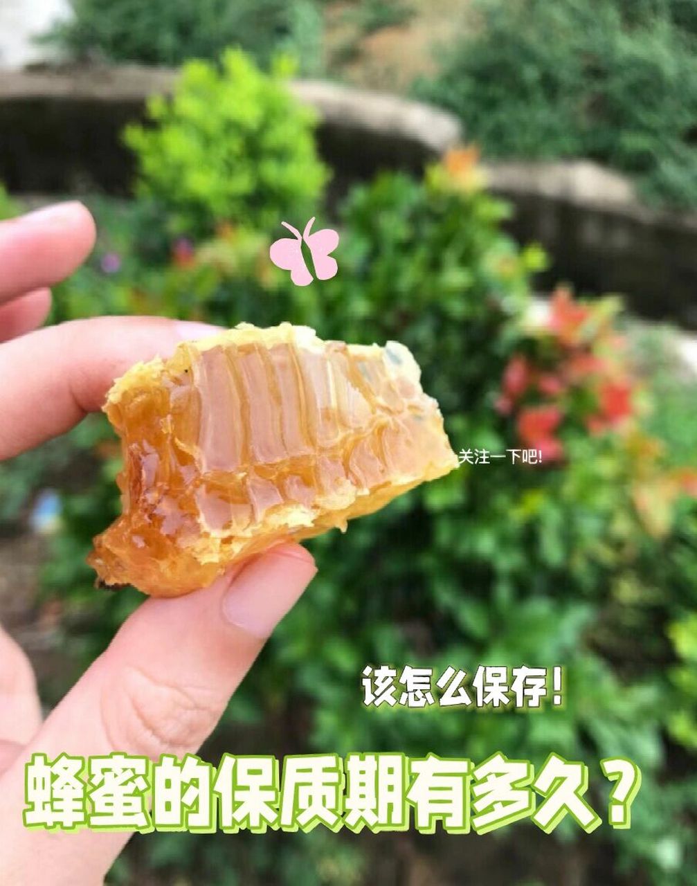 天然蜂蜜保质期一般是多久(天然蜂蜜的保存方法)