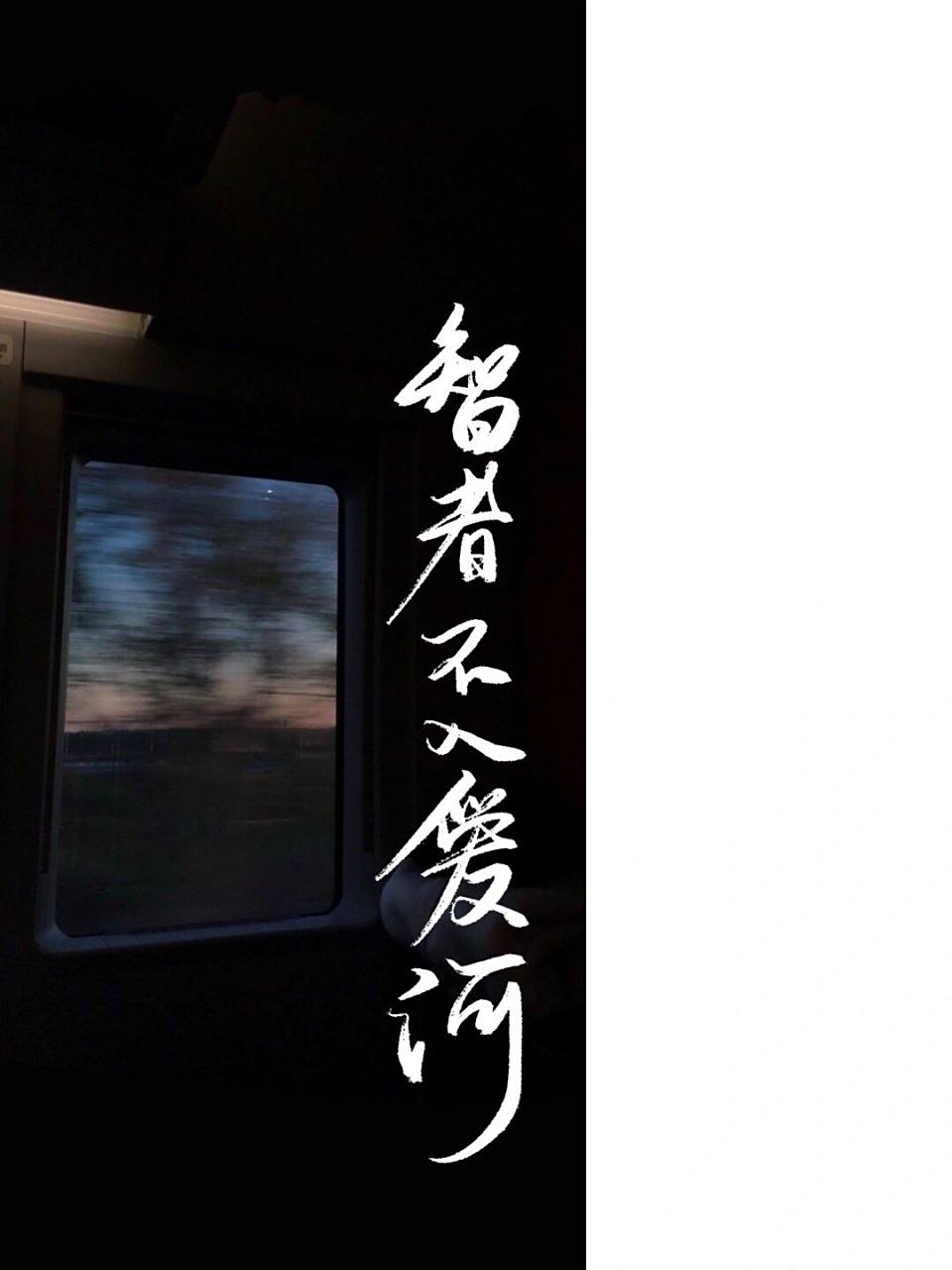 每日壁纸3|"智者不入爱河"04 #手写# #智者不入爱河# #每日壁纸