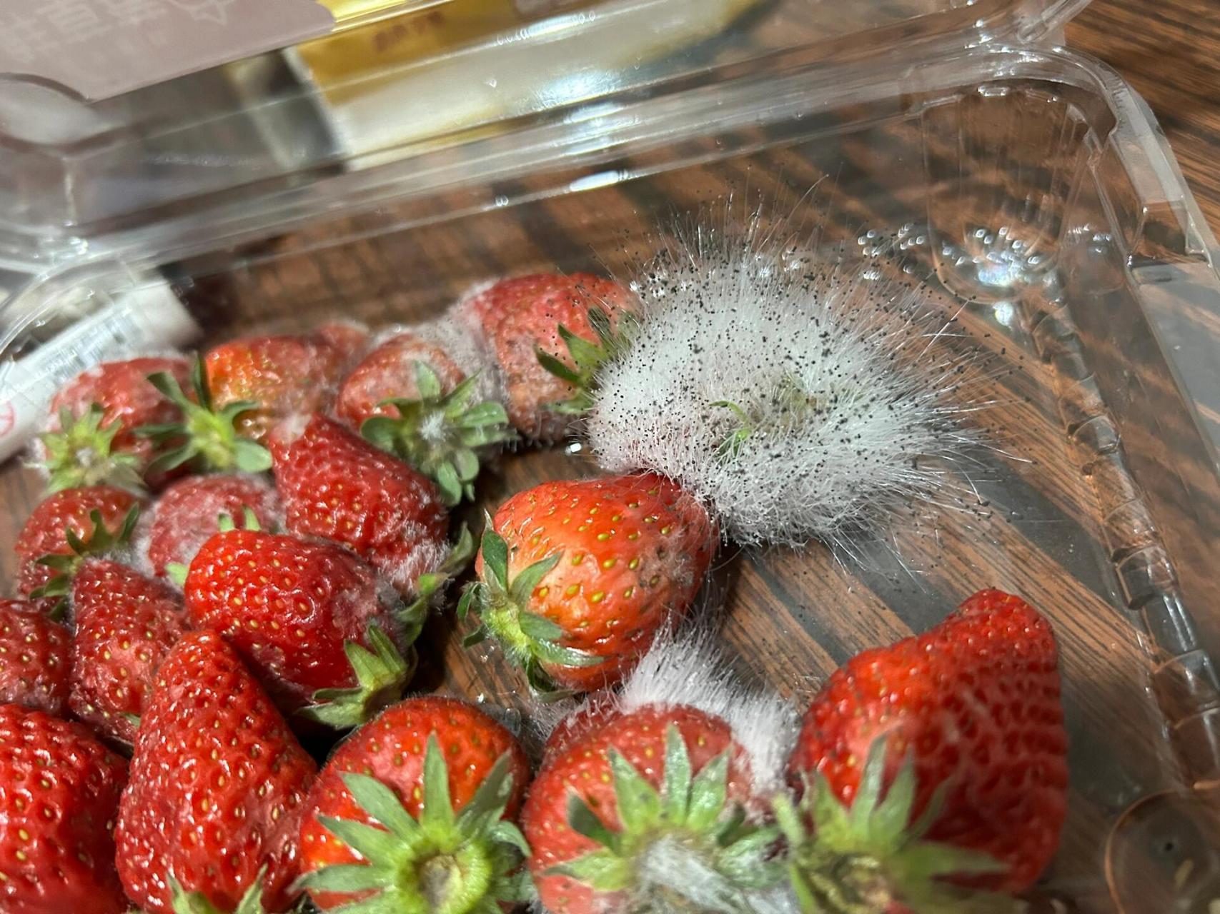 草莓长毛 第一次见这样的毛,这是啥