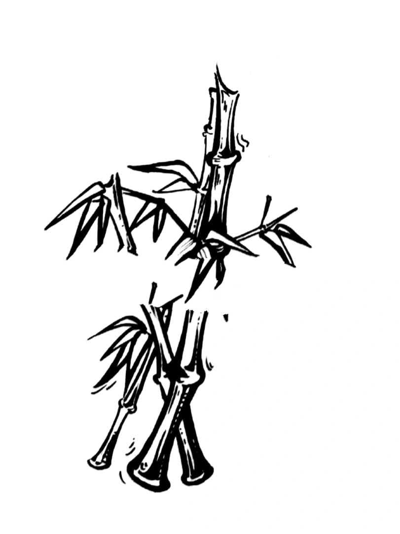 【黑白装饰画 之 "竹子"表现形式】