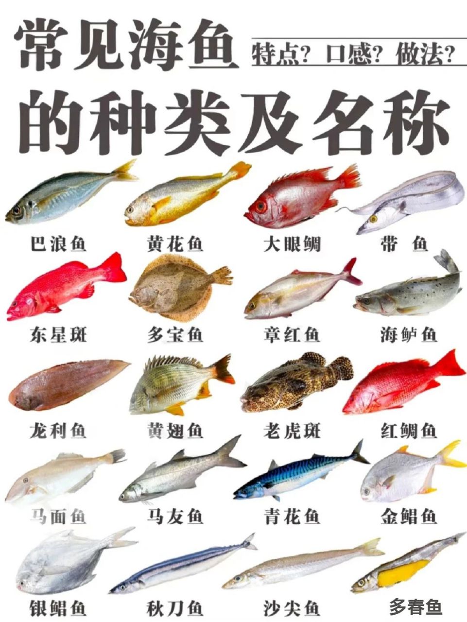 25种深海鱼 名字图片