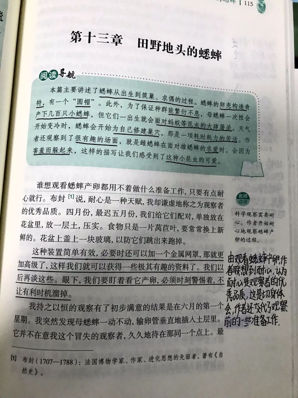 昆虫记十三章《田野地头的蟋蟀》批注