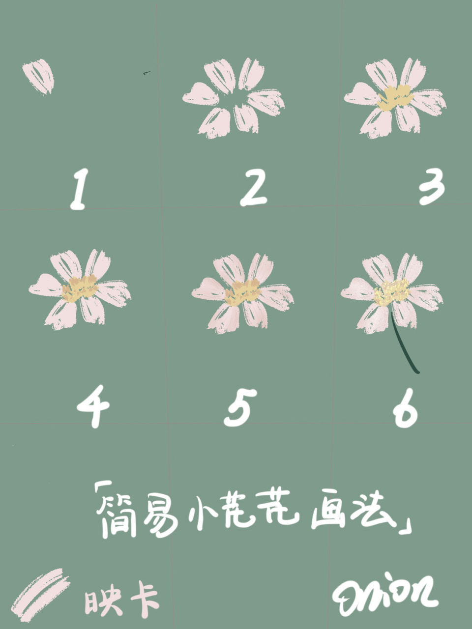 洋甘菊简笔画步骤 路旁的小菊,是放学路上最好的风景