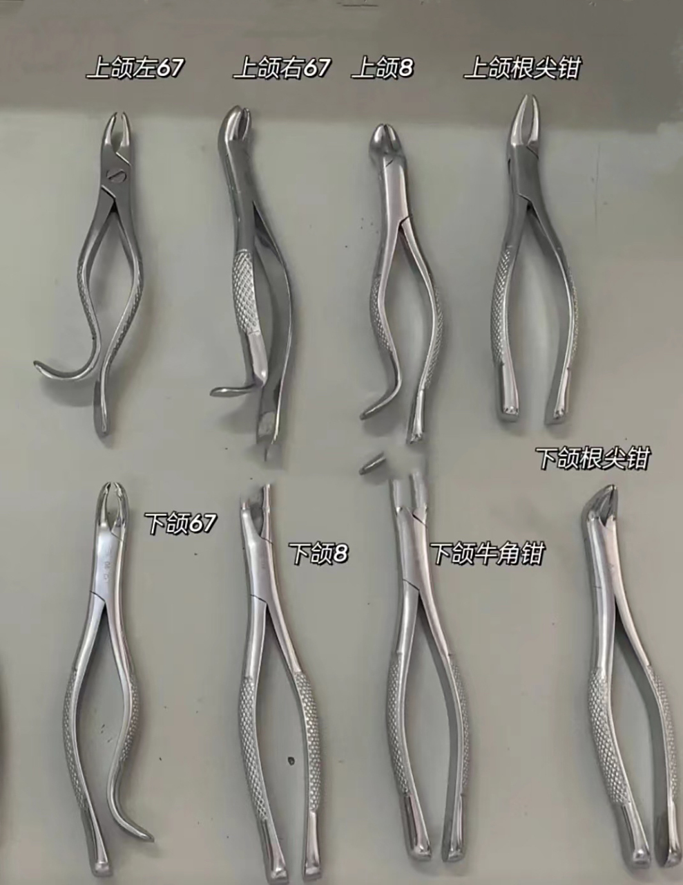 口腔医生必须认识的牙钳器械 (拔牙 牙钳器械识别) 掌握麻醉部位92