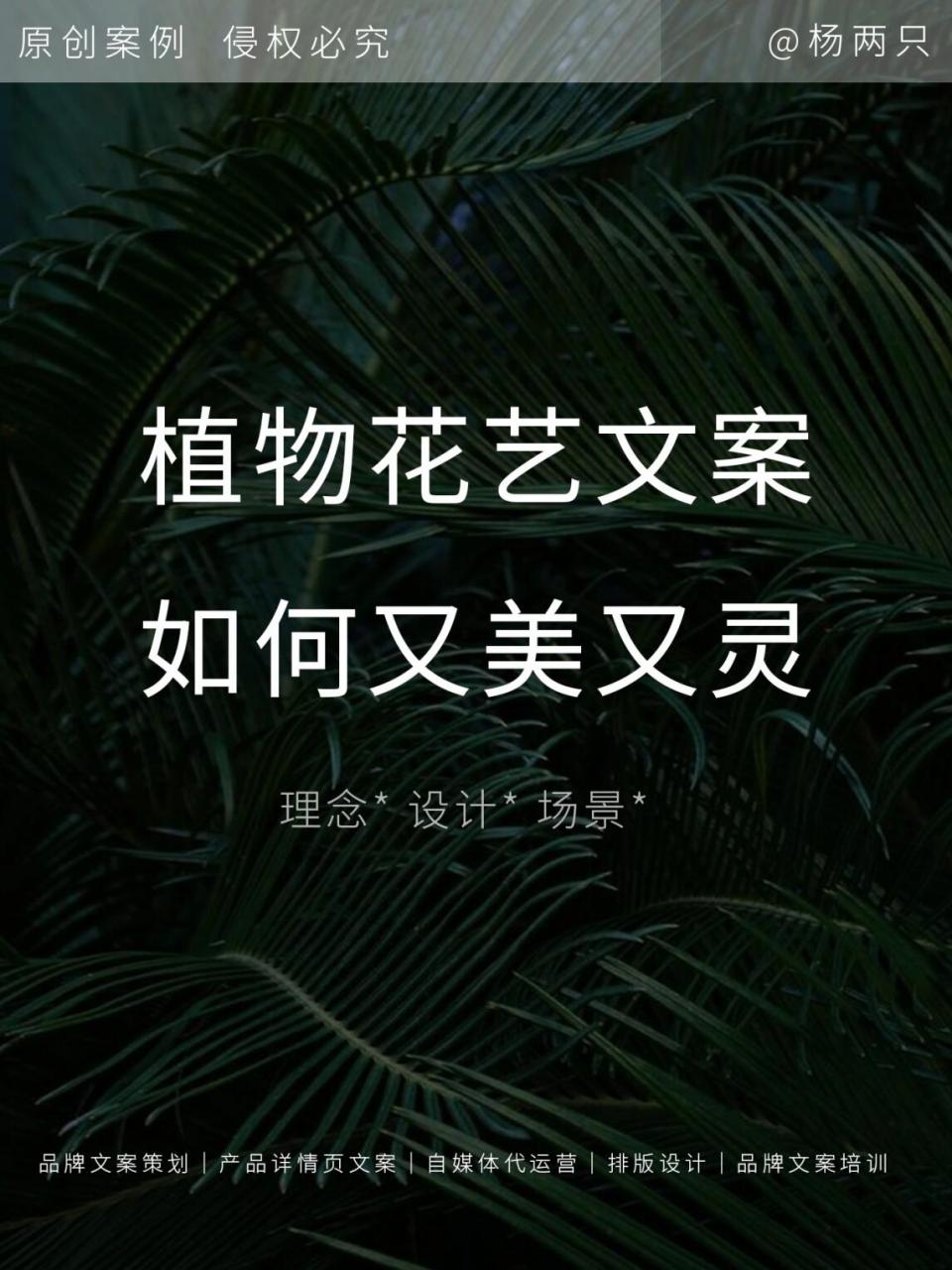 花艺为主题文案图片