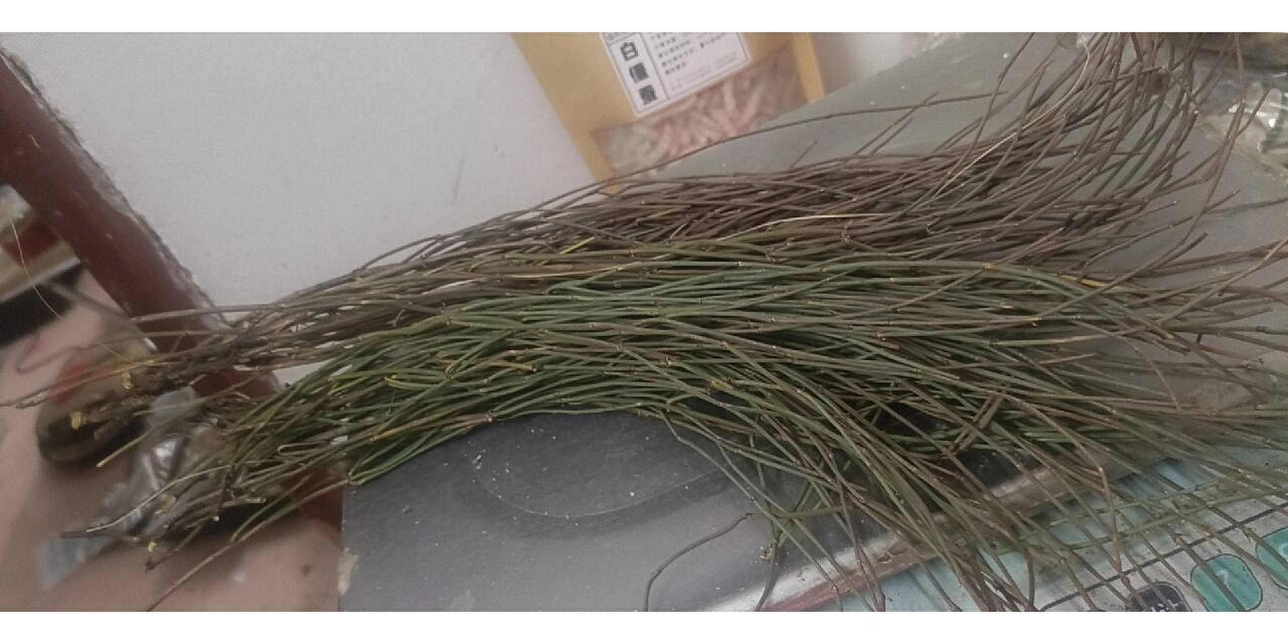 这次中药麻黄的作用巨大的