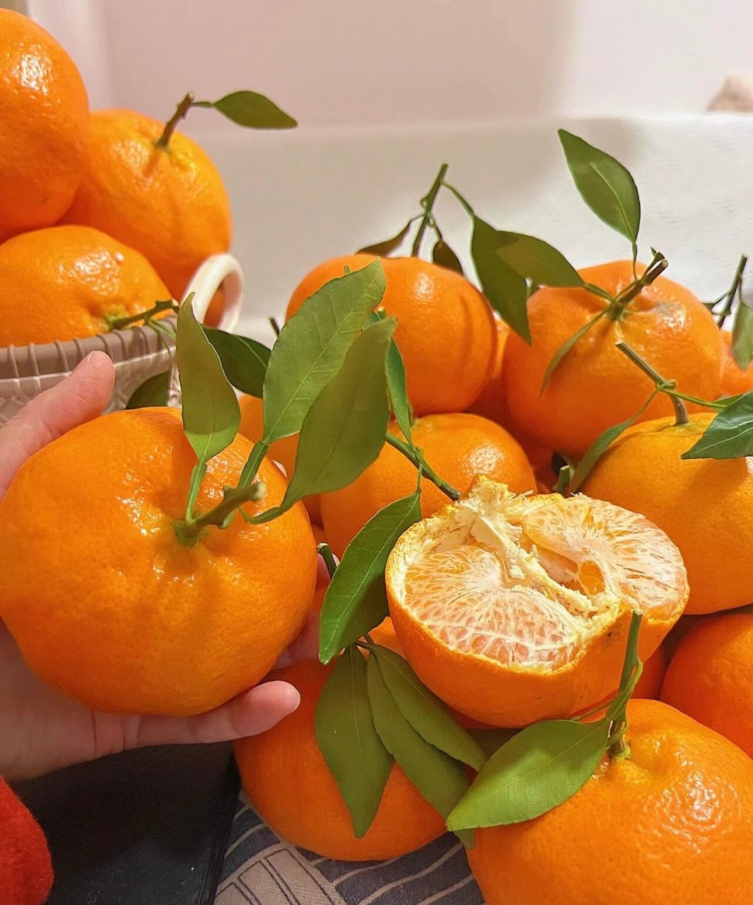 自家种植的甘平柑橘 四川金堂中国脐橙之乡 自家种植 甘平柑橘皇后