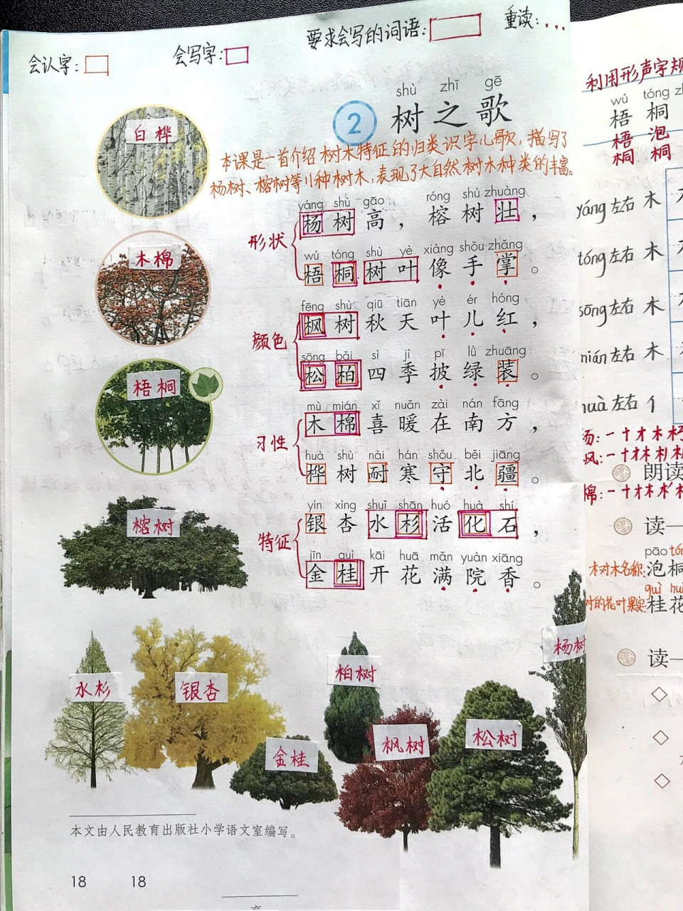 二上|二年级上册识字2《树之歌》课文笔记 小学语文二年级上册识字2